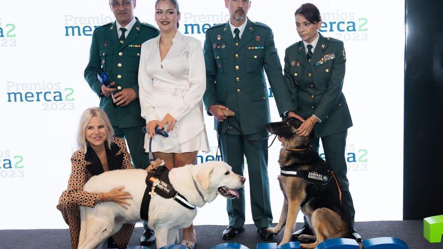 La perra gijonesa &quot;Tina&quot;, Medalla al Mérito con distintivo blanco
