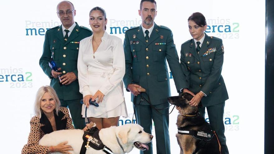 La perra gijonesa "Tina", Medalla al Mérito con distintivo blanco.