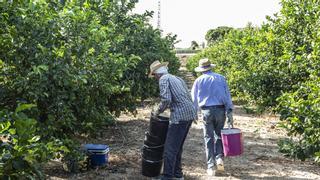 La subida del salario mínimo beneficiará a cerca de 100.000 alicantinos