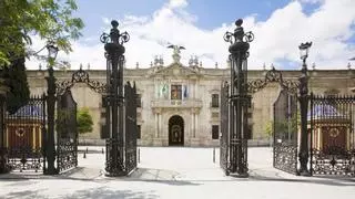 Una beca para comer gratis en la Universidad de Sevilla: requisitos y cómo solicitarla