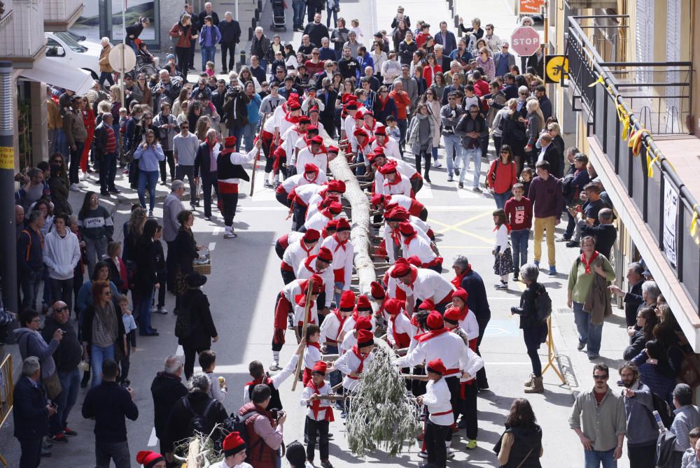 Cornellà del Terri celebra la plantada de l'Arbre i el Ball del Cornut