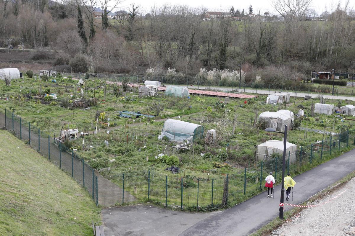 Estado de los huertos urbanos hace semanas.