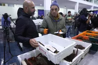 El mejor centollo de Galicia se va al restaurante preferido del rey emérito
