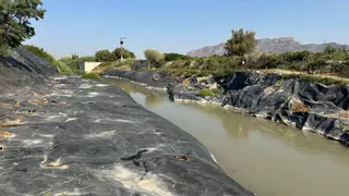 Beniel y El Raal recuperan un meandro del río Segura