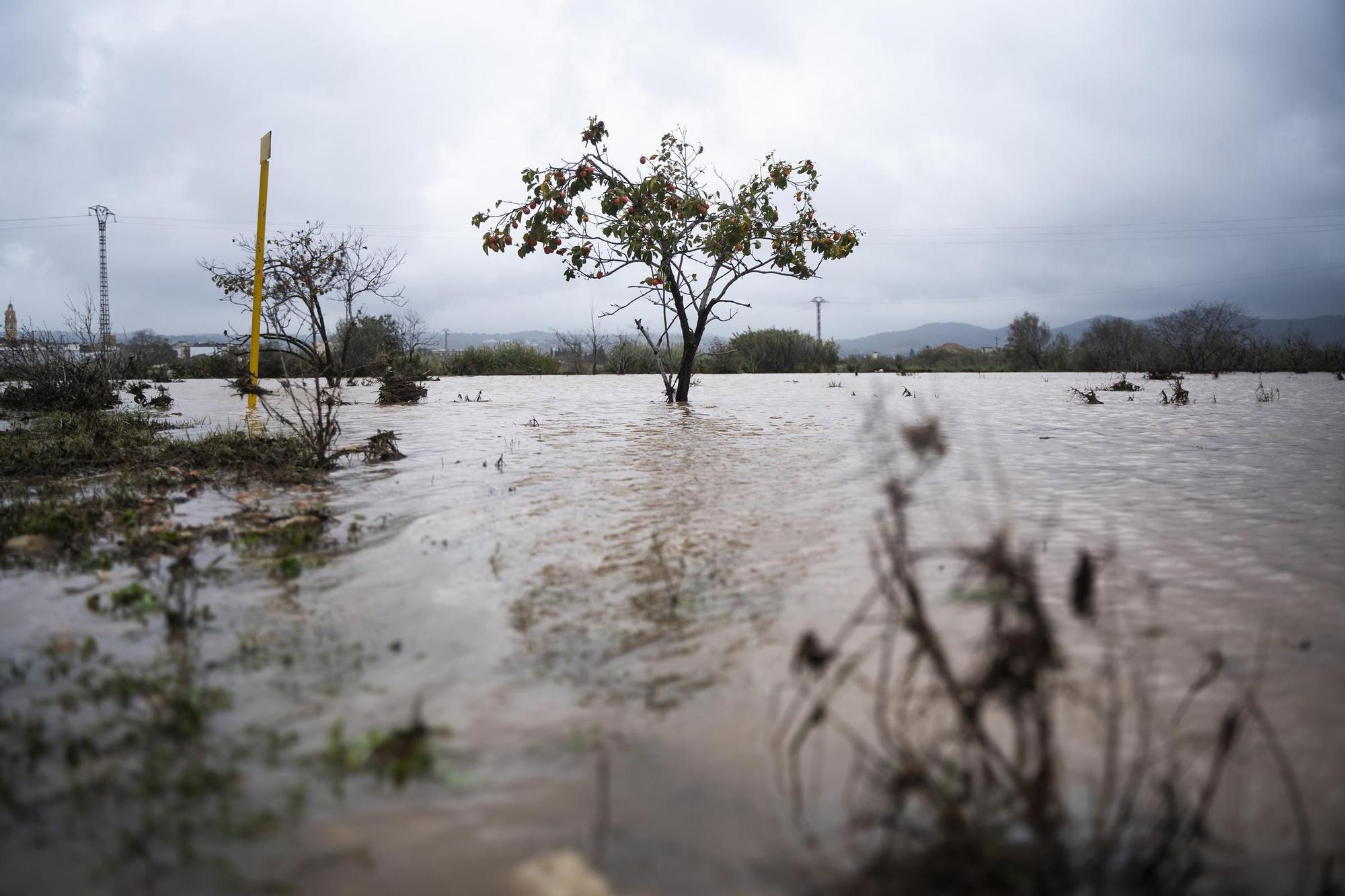 29/10/2024 Crecida del río Magre, a 29 de octubre de 2024, en Alfarp, Valencia, Comunidad Valenciana (España). El Centro de Coordinación de Emergencias (CCE) ha elevado a rojo el nivel de alerta por lluvias en todo el litoral e interior norte de Valencia, donde estaba fijada la alerta naranja. De este modo, el CCE ha actualizado los planes de emergencia por la DANA que afecta este martes, 29 de octubre, a la Comunitat Valenciana, y que a primera hora de la mañana establecía el nivel rojo solo para el litoral sur de València. SOCIEDAD Jorge Gil - Europa Press