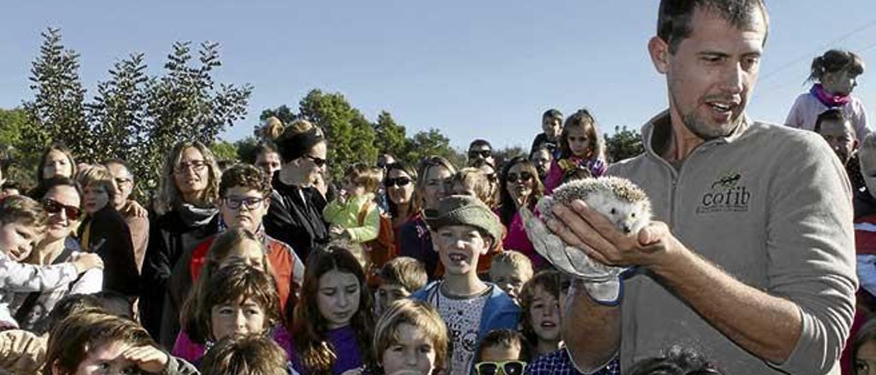 Els centres educatius poden gaudir d´una àmplia oferta d´activitats d´educació ambiental.