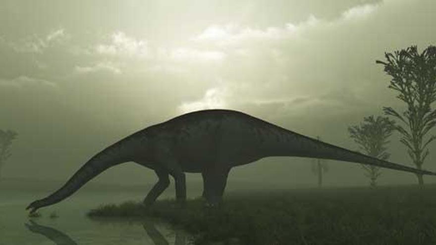 Apatosaurus.