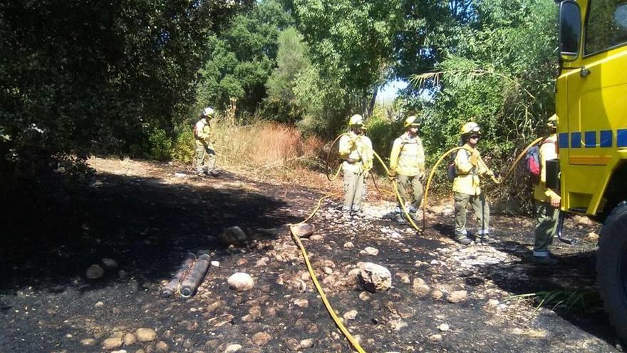 Sofocado un fuego forestal en Búger