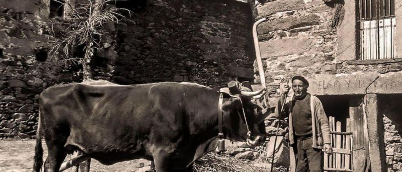 Diferentes imágenes de la comarca de Sanabria, recogidas por Báez Mezquita en los años ochenta.