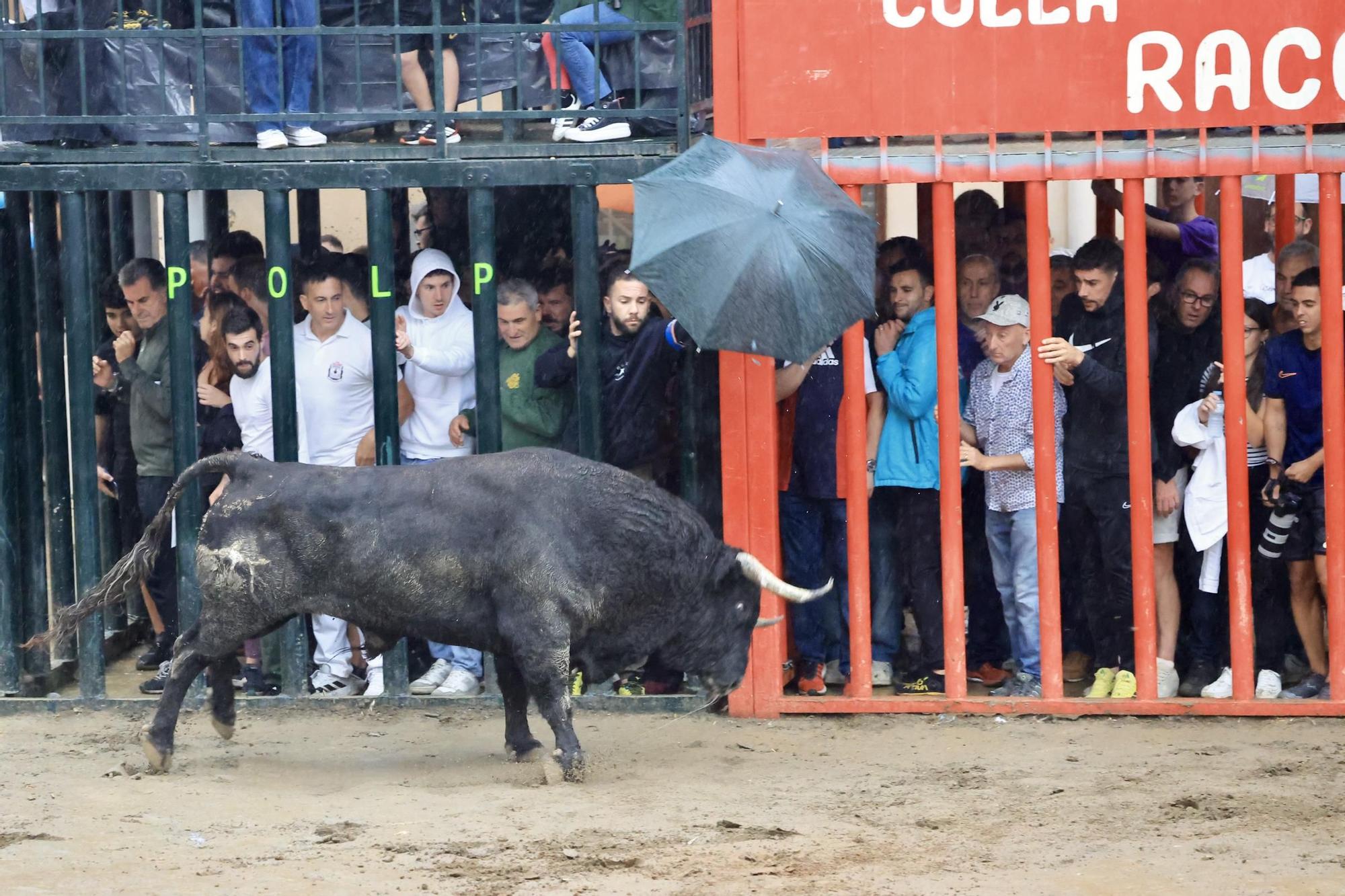 Galería de fotos de la penúltima tarde de toros de las fiestas del Roser en Almassora