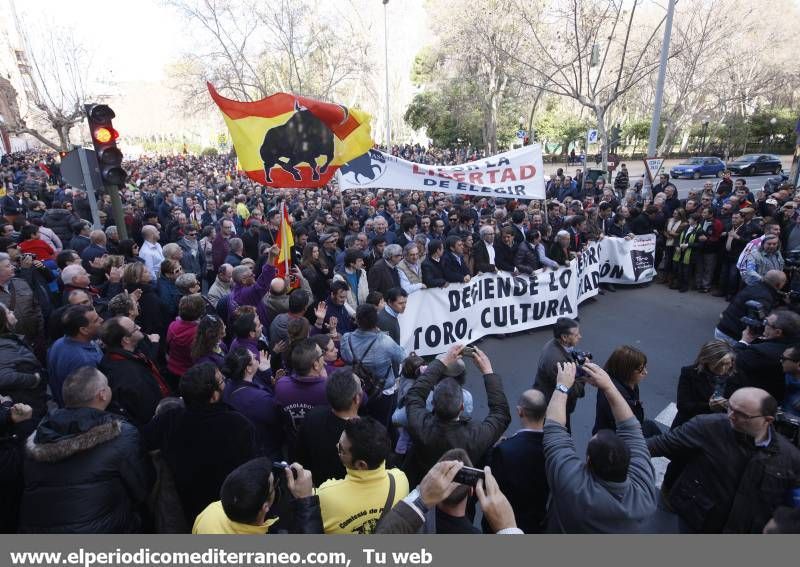 GALERÍA DE FOTOS -- Seguimiento de la manifestación protaurina -- Parte 1