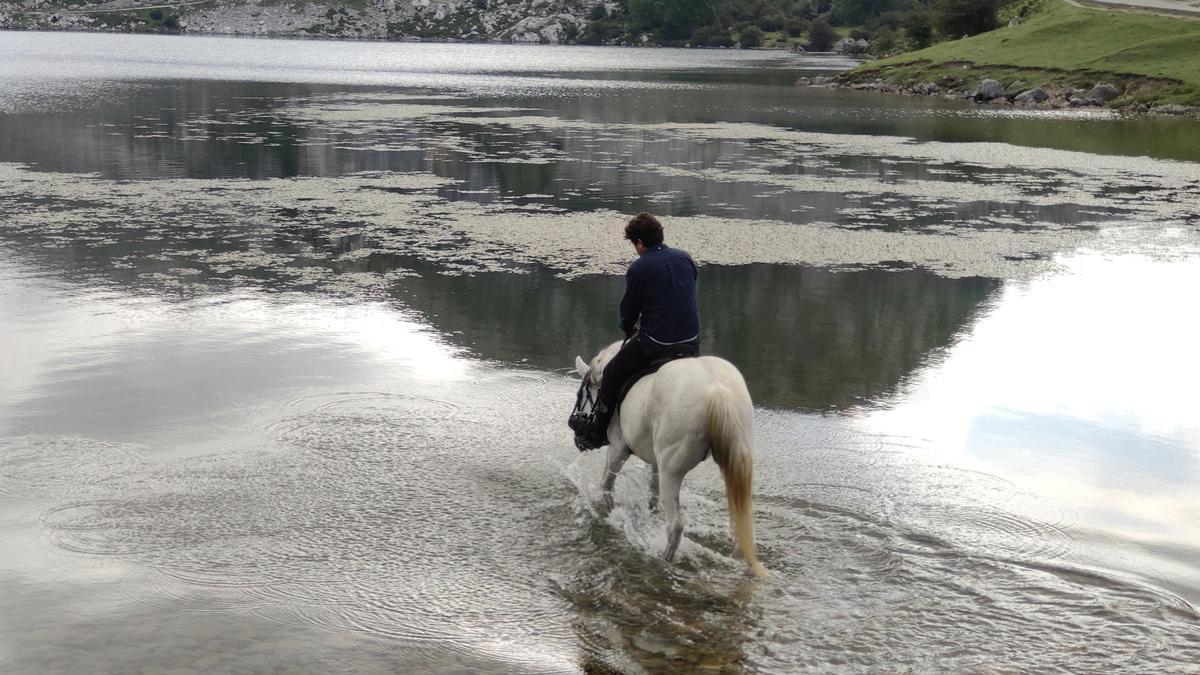 Lago Enol, uno de los Lagos de Covadonga, en los Picos de Europa.