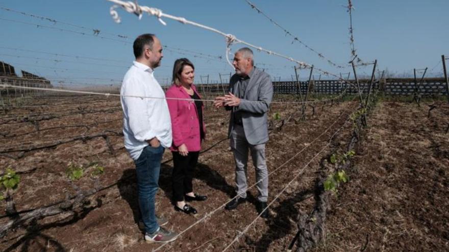 Los consejeros Valbuena y Vanoostende en un viñedo.