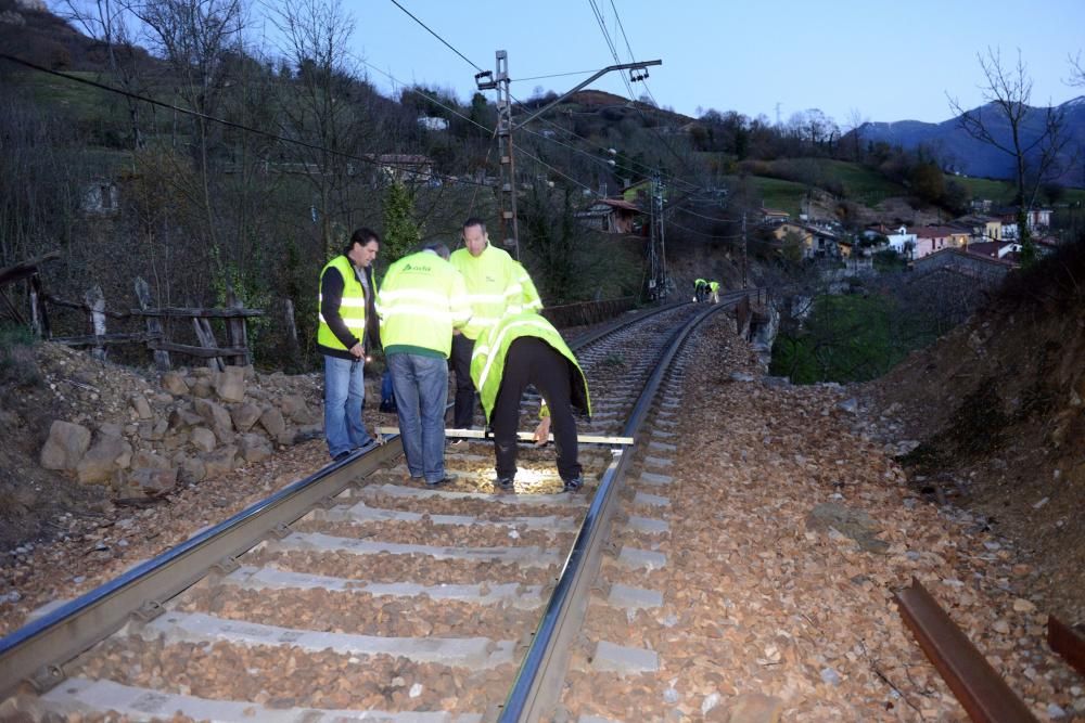 Descarrila un tren de mercancías en Lena