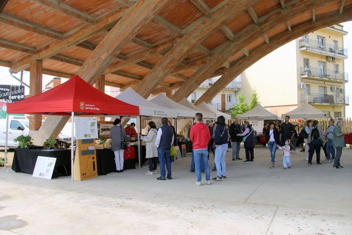 SANT FRUITÓS MERCAT DE LA TERRA