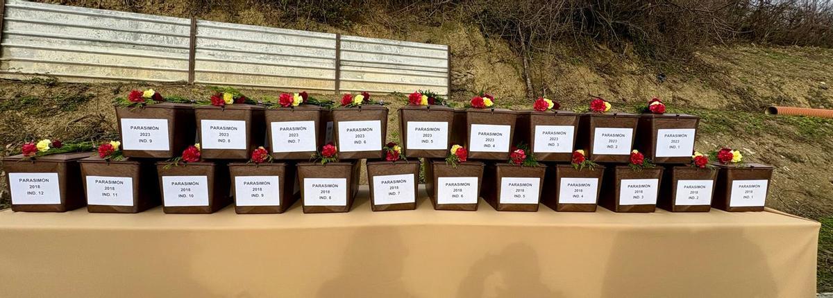 Las cajas con los restos de los 21 hombres asesinados en Parasimón