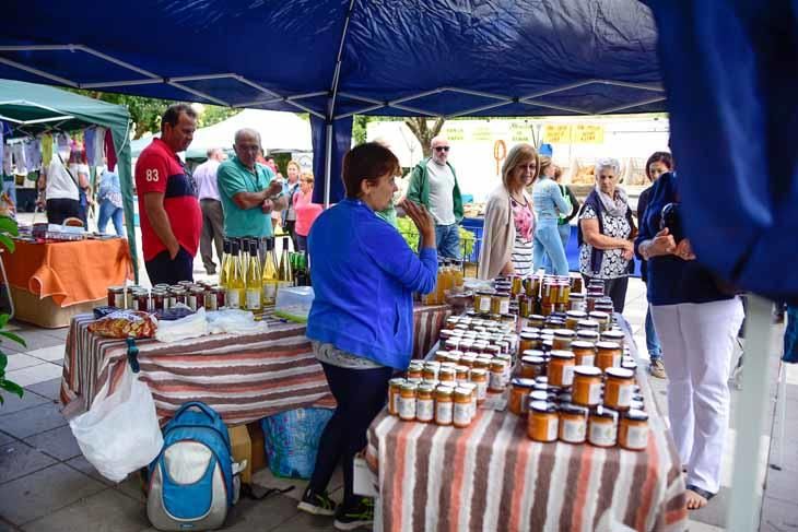 Fiesta de la manzana de Valleseco