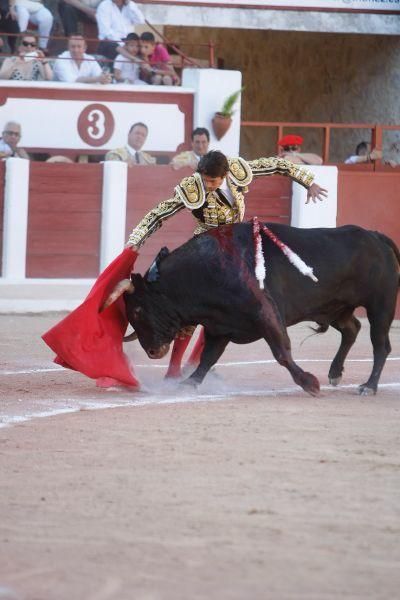 Toros en Zamora