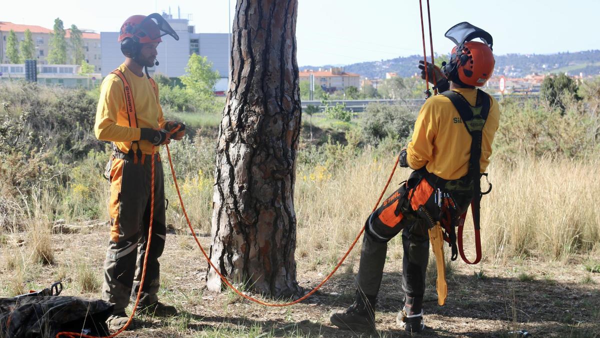 Treballs en una zona propera a una línia elèctrica