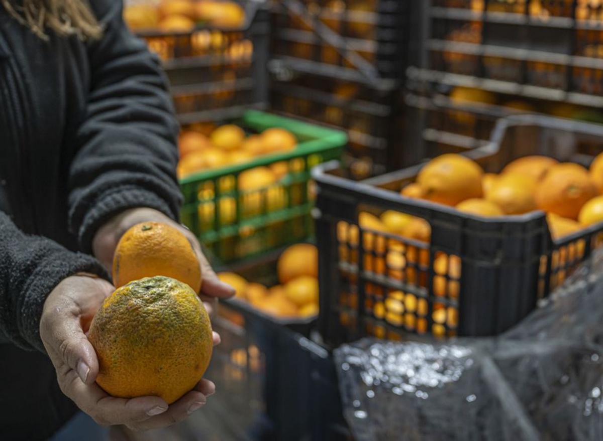 "No al malbaratament d’aliments"