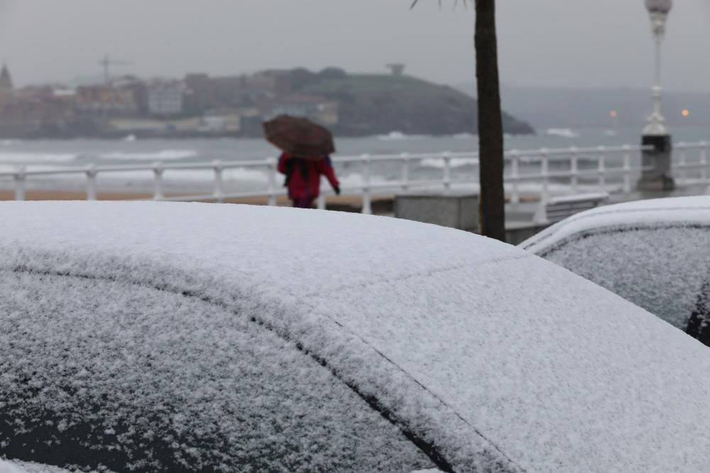 Las 40 fotos que te harán echar de menos el invierno (y la nieve) en Asturias