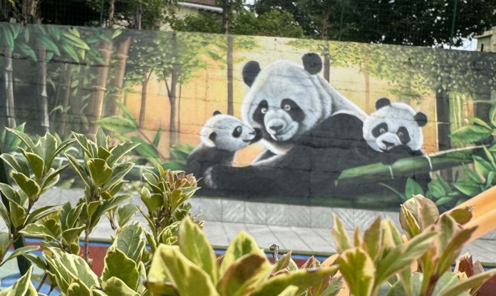 Mural de una familia de osos panda pintado en Pola de Siero en 2024.