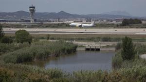 El Prat 09/06/2021 Sociedad. Proyecto de ampliación del aeropuerto del Prat. Visita a la zona que quedaría afectada por la ampliación de la tercera pista del aeropuerto en la zona de la Ricarda Foto de Ferran Nadeu