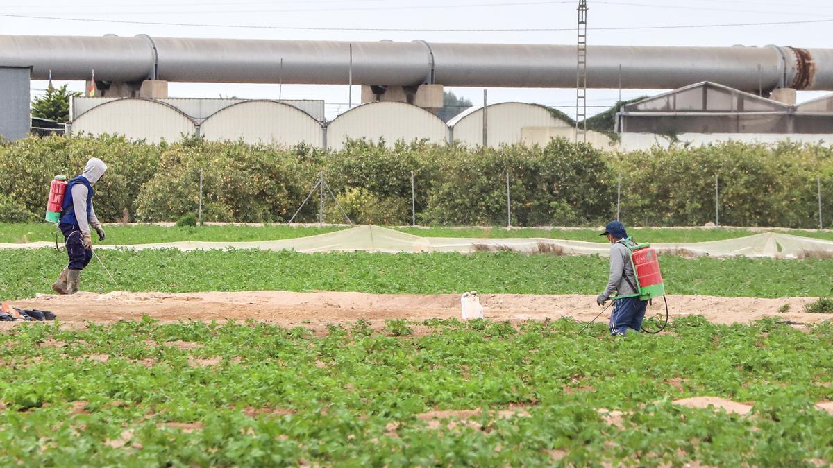 El agua que llega del Tajo comenzará a recortarse a partir de febrero.