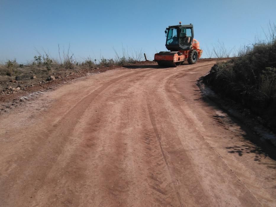 El Cabildo plantará 1.000 árboles en el camino de La Montaña de Firgas a Las Berreras