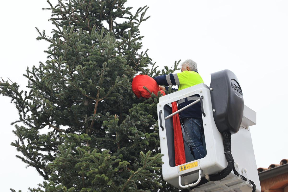Fotogalería I Vila-real instala su árbol de Navidad más sostenible en la plaza de la Vila
