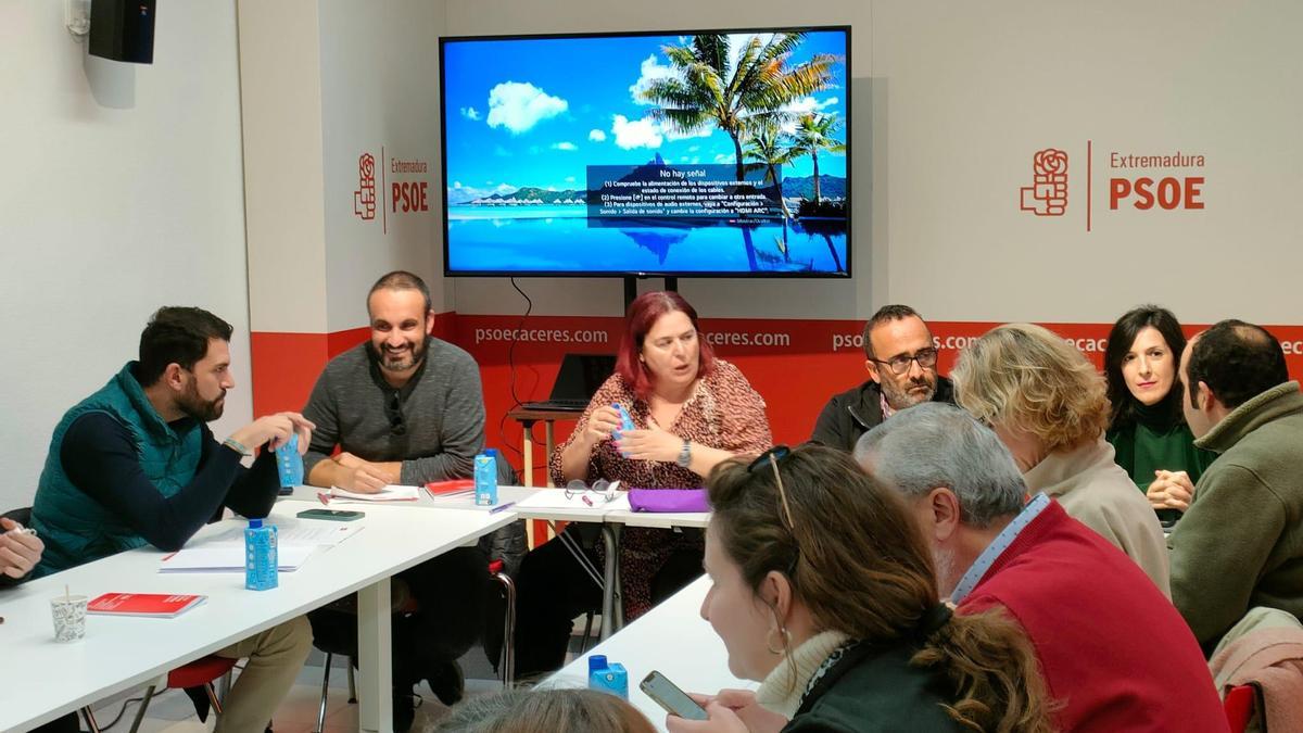 Imagen de la comisión ejecutiva del PSOE provincial de Cáceres.