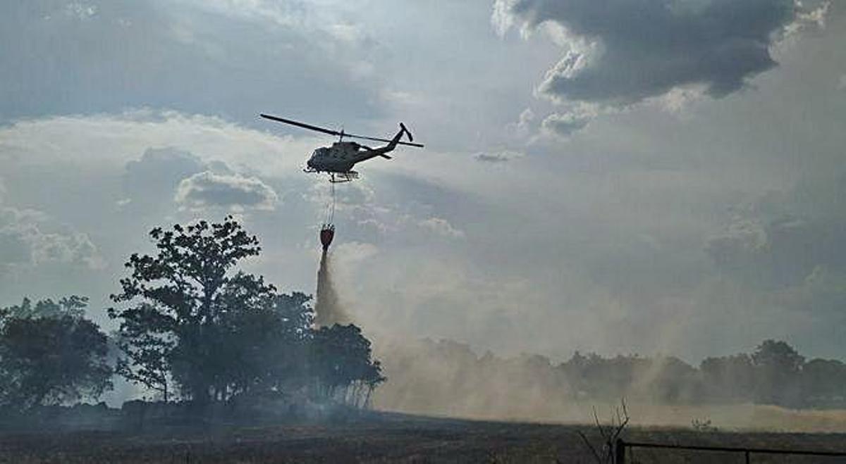 Sofocado un incendio forestal entre Moralina y Torregamones
