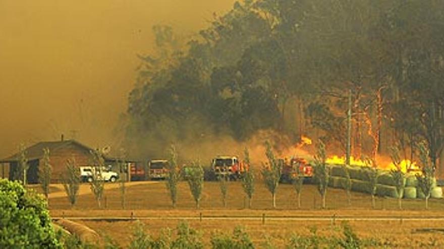 Al menos 14 personas mueren en los incendios forestales del sur de Australia