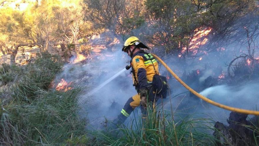 Die Feuerwehrleute im Einsatz.