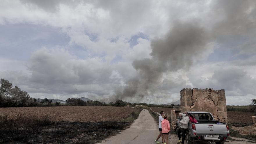 Incendio en s&#039;Albufera de Muro