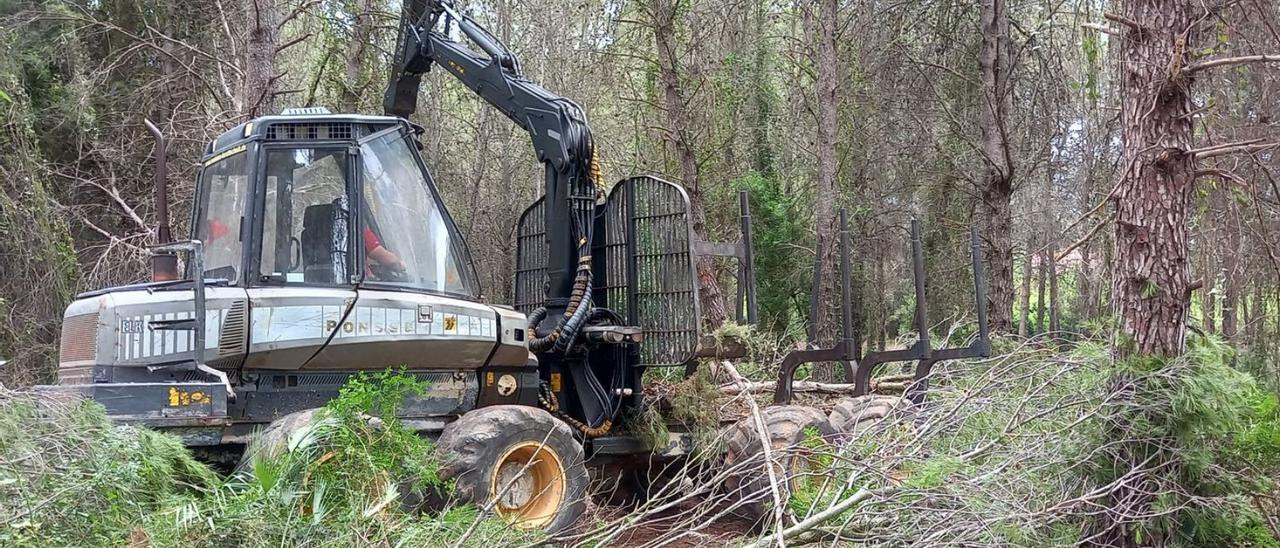 Dos imágenes de las labores y el resultado del Plan Técnico Forestal en Sant Jeroni. | LEVANTE-EMV