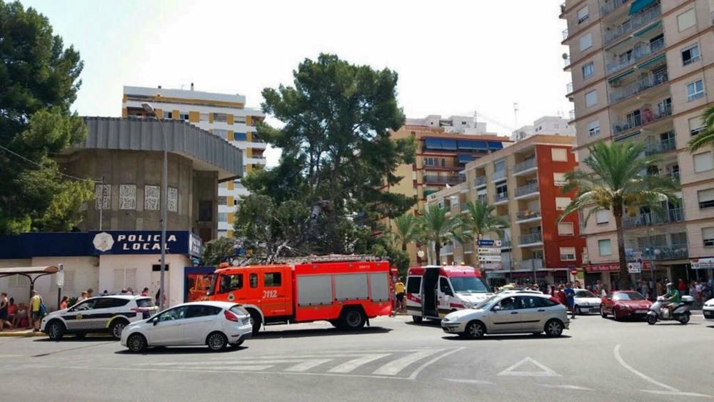 Dos heridas al caer un pino de grandes dimensiones en Cullera