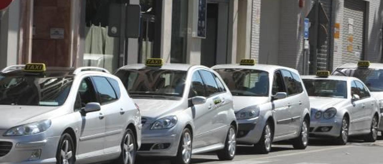 Los taxistas de Xàtiva tienen fichados 5 vehículos pirata