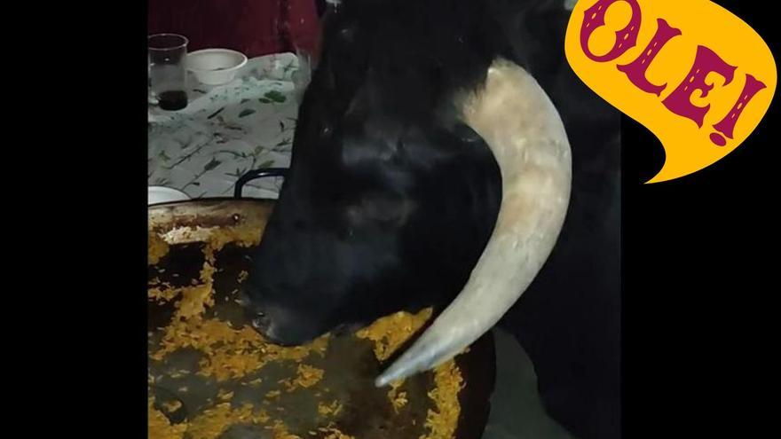 Un toro se vuelve viral con su curiosa degustación de una paella: &quot;Le falta la flamenca&quot;