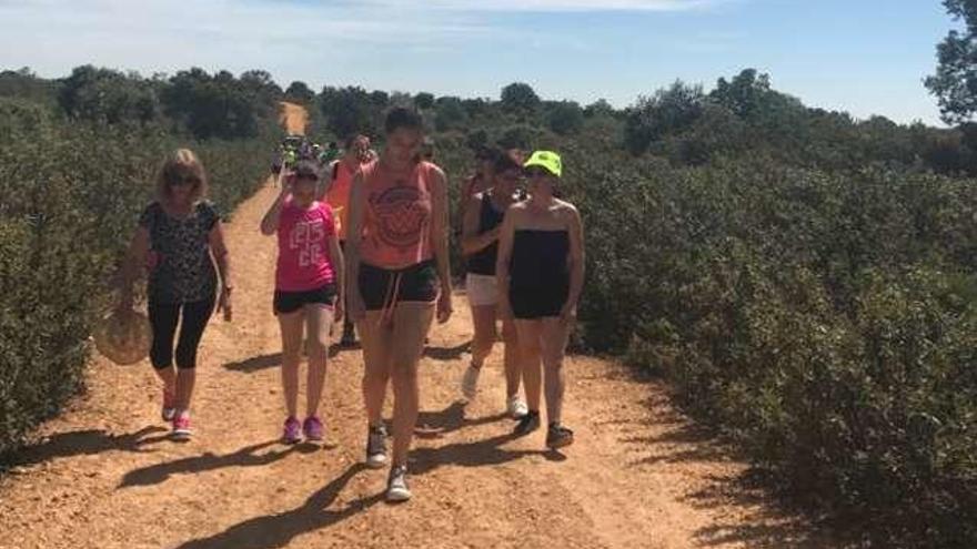 Varios momentos de la marcha. A la izquierda, los senderistas caminan entre Cabañas y Mayalde. En el centro, un alto en el recorrido. A la derecha, comida de convivencia en Mayalde.