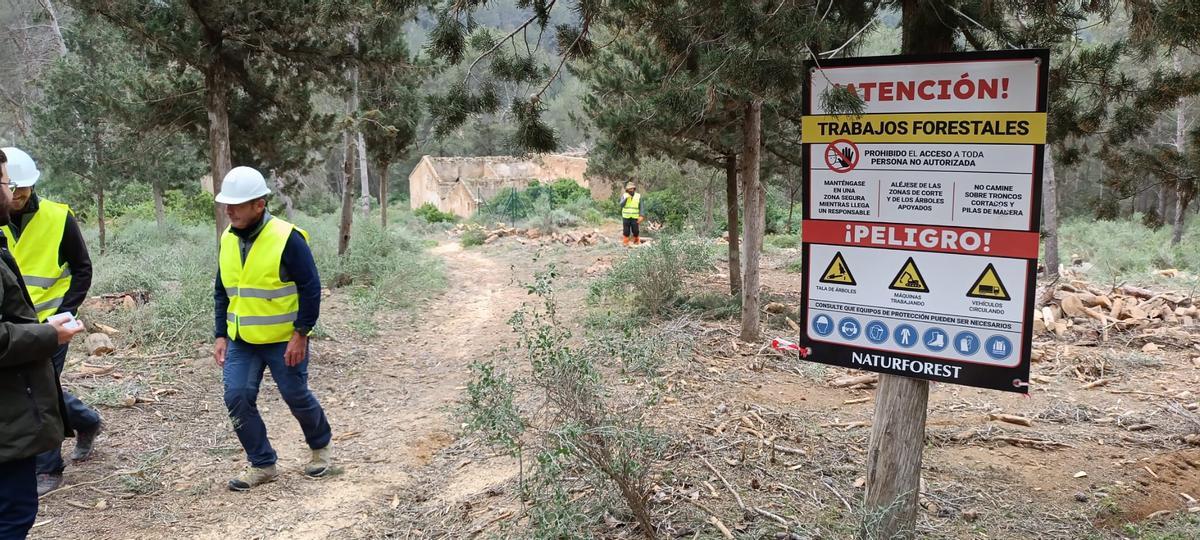 La zona de actuación se ha delimit¡ado con carteles para restringuir el acceso no autorizado.