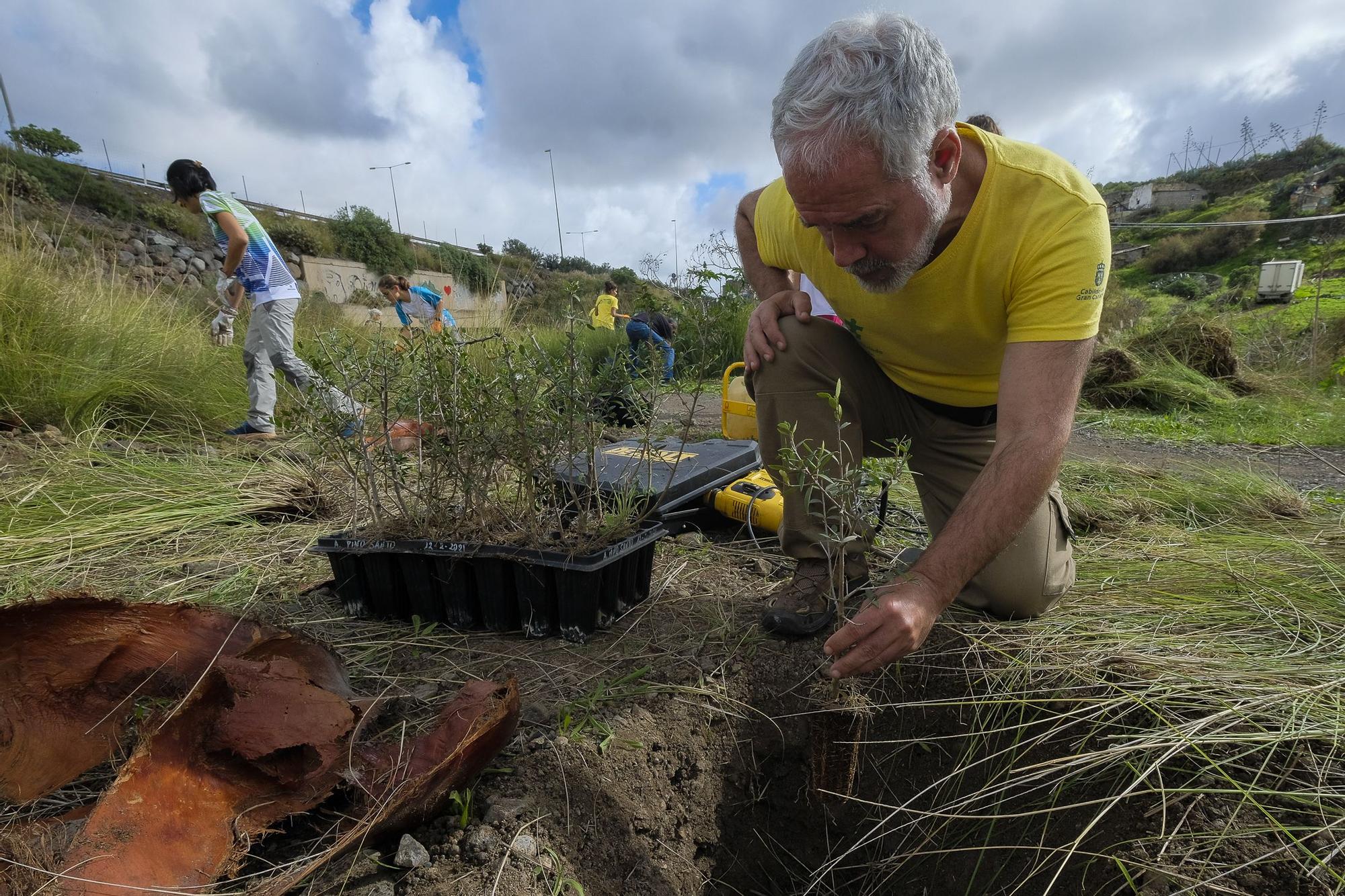 La Sinfónica de Bamberg participa en una reforestación simbólica en Tamaraceite para compensar su huella de carbono