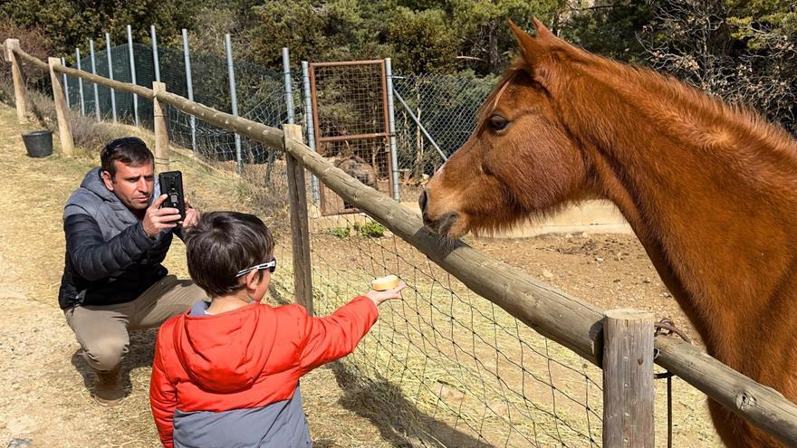 Els visitants del Zoo del Pirineu podran portar menjar per alimentar els animals durant el febrer