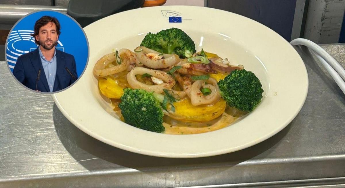 El 'pulpo a la gallega' de la Eurocámara.