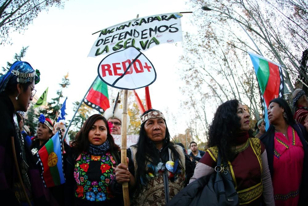 Multitudinaria marcha por el clima en Madrid.