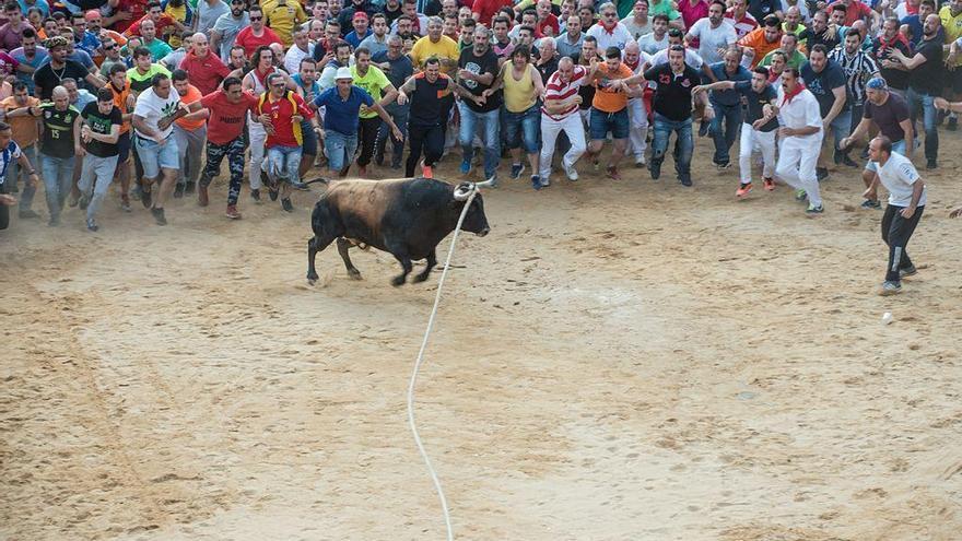 La Veguilla y el Toro Enmaromado, los días 20 de abril y 10 de junio de 2020