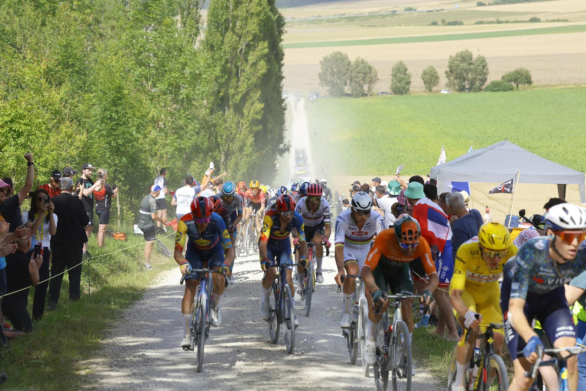 Tour de France 2024 - Stage 9