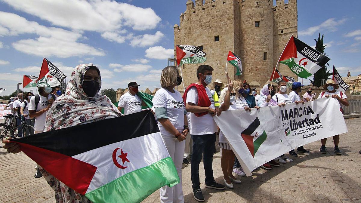 Marcha de apoyo al pueblo saharaui esta semana junto a la Calahorra.