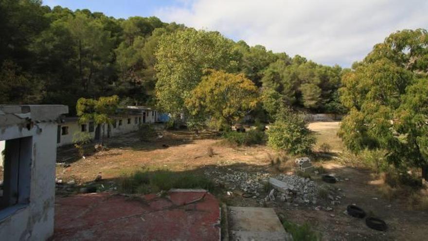 El campo de La Banyosa, abandonado y tomado por las malas hierbas, en una imagen de ayer.