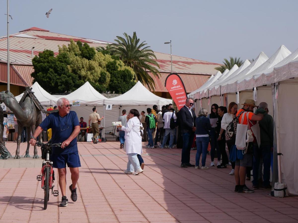 Imagen general de la Feria de Empleo, Formación y Emprendimiento de San Bartolomé de Tirajana.